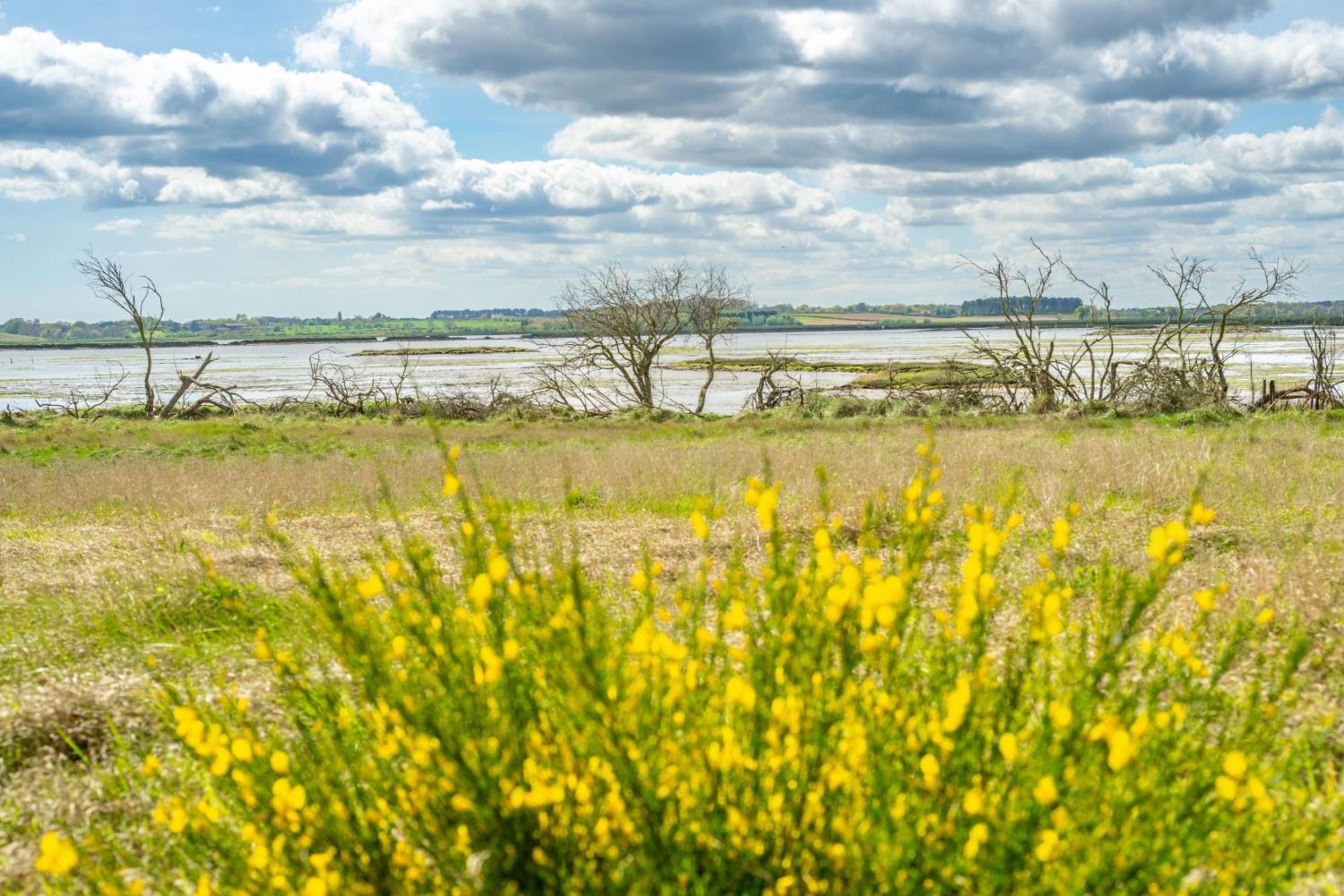Marsh View Villa Aldeburgh Dış mekan fotoğraf